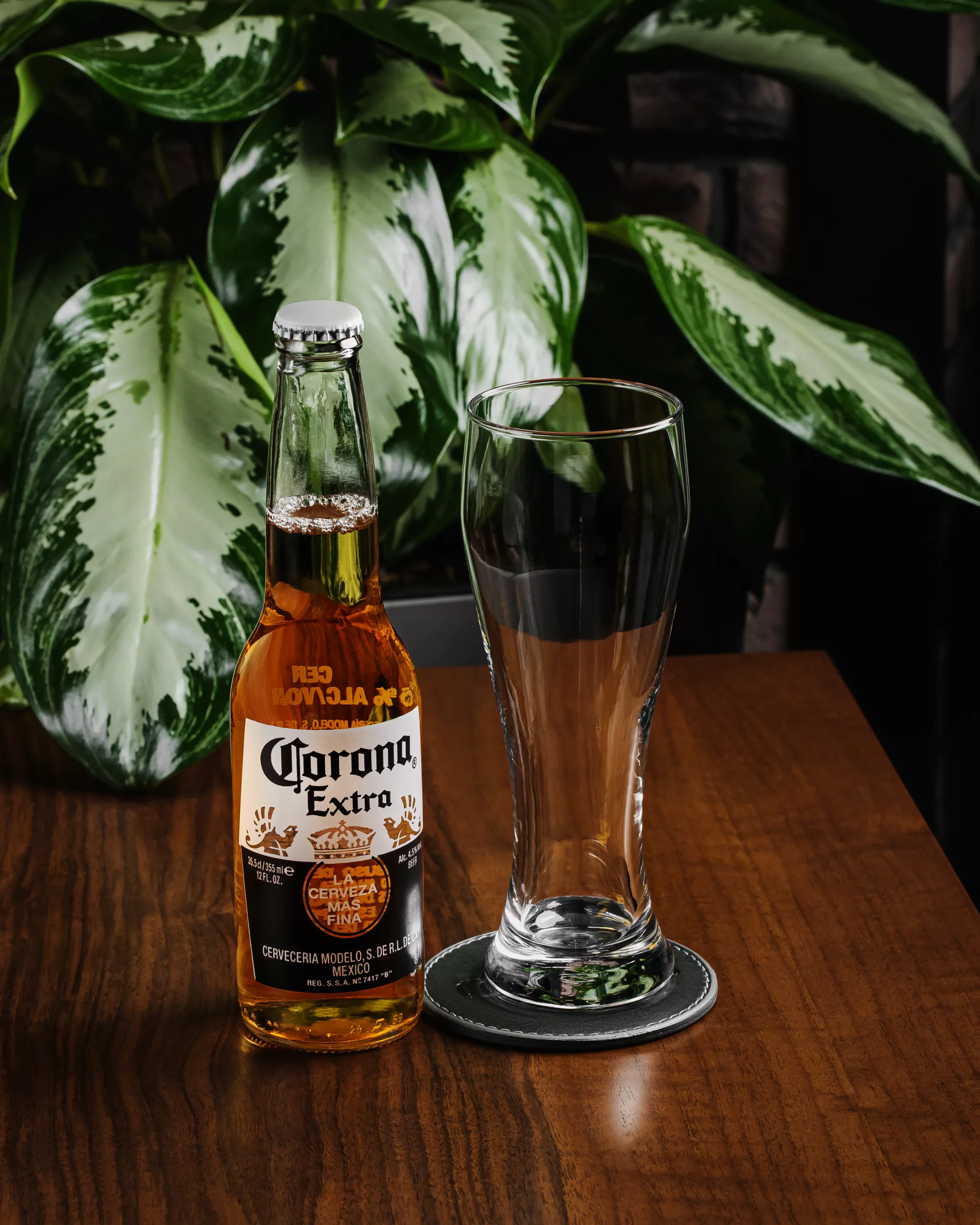Corona pivə  