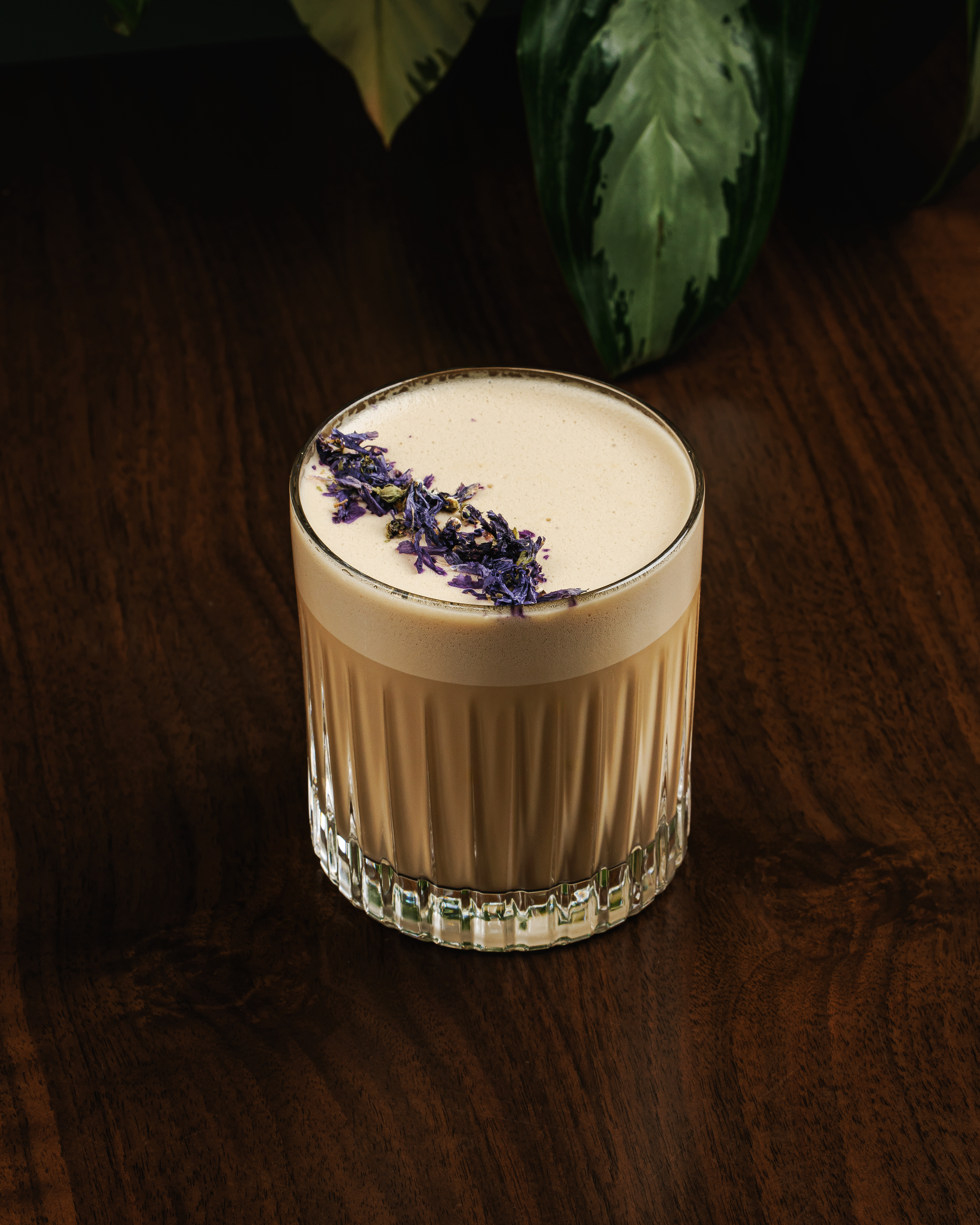 Lavanda Raf