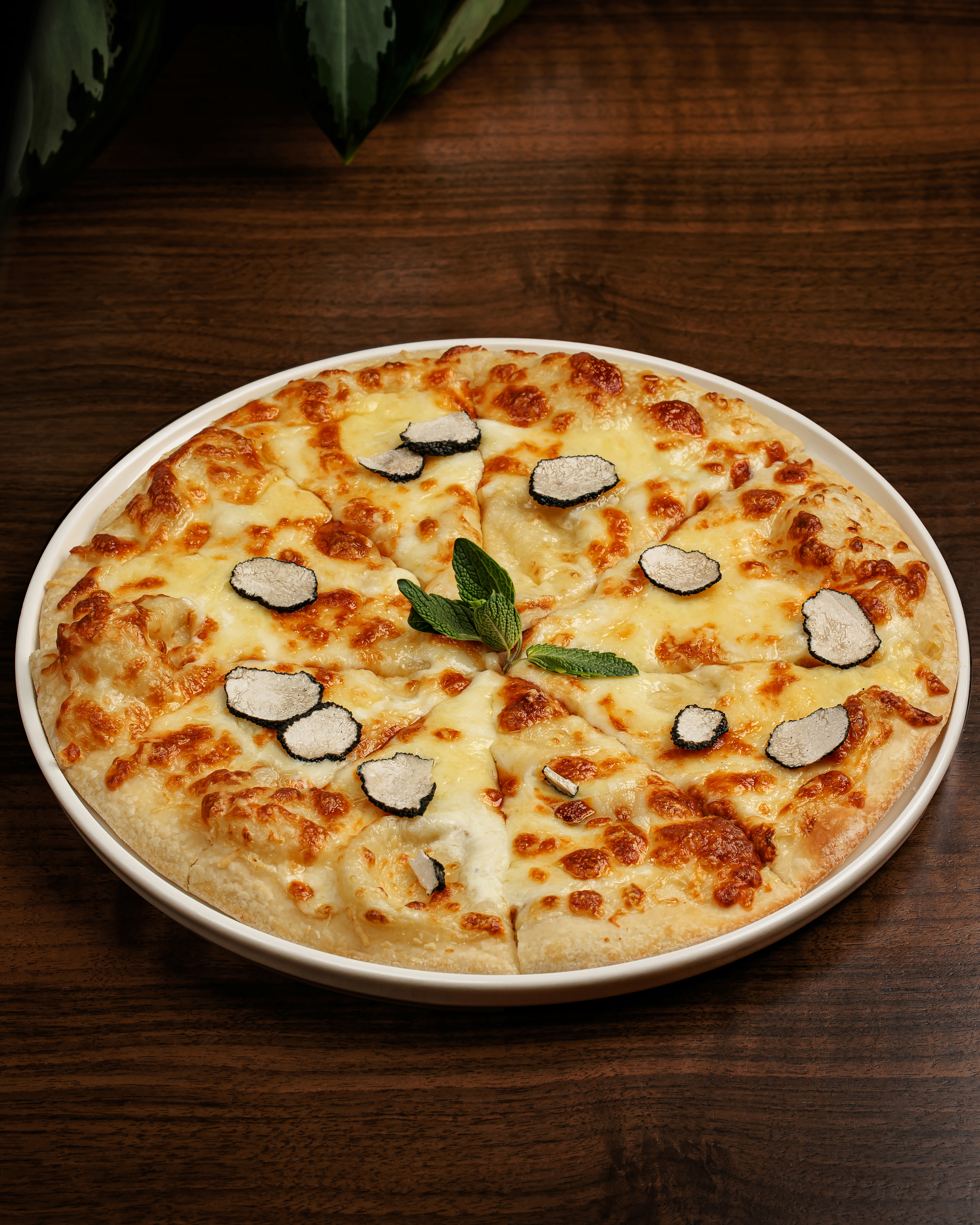 Trufel Pizza